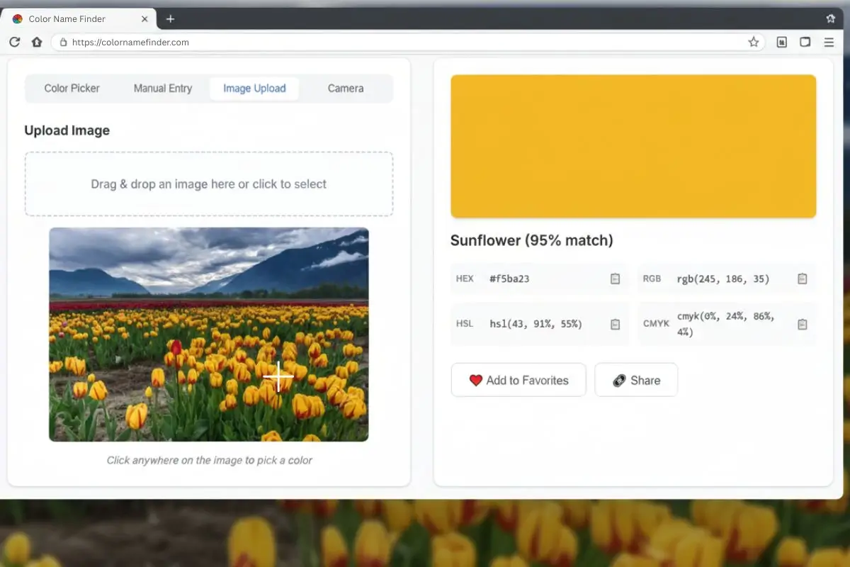 Color Identifier Sample